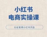 小红薯电商实战攻略：轻松开店，小红书爆款打造必修课！
