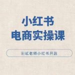 小红薯电商实战攻略：轻松开店，小红书爆款打造必修课！