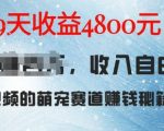 AI宠物兔视频爆赚攻略：9天狂揽4.8K收益，揭秘萌宠赛道盈利秘诀！