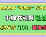 揭秘：全自动引流黑科技！小绿书爆款操作，日引300+精准创业粉，轻松实现私域流量爆发！