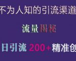 独家揭秘：隐藏的引流神技，单日狂揽200+高价值创业粉丝，流量变现秘籍大公开！