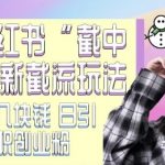 揭秘小红书流量新玩法：独家截流技巧，低成本单号操作，日吸粉500+，快速占领CY粉JZ粉市场！