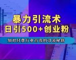 揭秘暴力引流秘术：专业知识付费领域顶级引流策略，日引500+创业粉丝，五部手机流量爆满！
