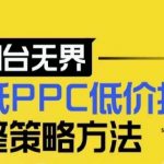 2024独家揭秘：万相台无界攻略，极致PPC优化技巧，店铺爆款选款与低成本盈利策略大全！