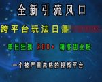 揭秘：独家引流新风口，跨平台日赚上千，单日轻松吸引200+精准创业粉丝，别再错过这个潜力视频平台！