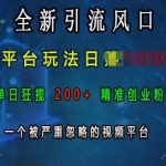 揭秘：独家引流新风口，跨平台日赚上千，单日轻松吸引200+精准创业粉丝，别再错过这个潜力视频平台！