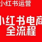 红薯电商赚钱攻略：小红书全流程实战课程，轻松开店赚翻天！