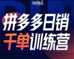 拼多多日销千单实战训练营第31期：揭秘微付费+免费流量双剑合璧玩法，轻松引爆销量！