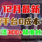 12月独家揭秘：零成本音频平台引流秘籍，轻松日吸300+高价值创业粉丝！