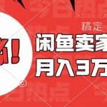 家居用品月入过万秘籍大公开！零基础速成闲鱼卖货高手，新手必看当天盈利技巧揭秘！