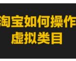 淘宝虚拟类目操作攻略：轻松上手，实战教程揭秘赚钱秘诀！