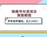 视频号年货项目揭秘：抢占流量高地，提前布局赚翻天，日入过千不是梦！