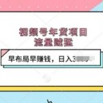视频号年货项目揭秘：抢占流量高地，提前布局赚翻天，日入过千不是梦！