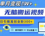 新手必看！一键复制视频号操作攻略，日吸精准创业粉300+，月入过万变现秘诀大揭秘！