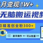 新手必看！一键复制视频号操作攻略，日吸精准创业粉300+，月入过万变现秘诀大揭秘！
