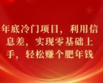 揭秘：冷门暴利项目，零基础也能轻松上手，年底让你赚翻天！
