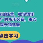AI终极文案训练营：打造“一击必胜”的销售奇迹，销售额暴涨秘籍大揭秘！