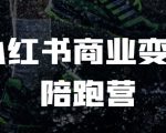 小红书变现攻略：从入门到精通，电商赚钱实战训练营，快速提升收益！