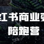 小红书变现攻略：从入门到精通，电商赚钱实战训练营，快速提升收益！