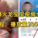 全网独家！2000万+播放量的龙宝宝视频全套操作教程，揭秘萌宠养成秘籍！
