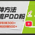 拼多多小白必看：3大招引流助力粉丝，零基础当天开单，快速变现，低成本高回报，轻松日入500+！