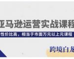 亚马逊运营终极攻略：从新手到大师，性价比爆表，超越万元课程的价值！