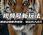 动物世界解说视频赚钱攻略大揭秘：轻松月入过万，操作如此简单！