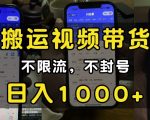 新手攻略：轻松搬运视频带货，告别限流封号，实现日赚1000元纯自然流量技巧大揭秘！