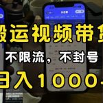 新手攻略：轻松搬运视频带货，告别限流封号，实现日赚1000元纯自然流量技巧大揭秘！