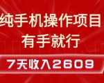 7天轻松上手手机赚钱项目，无门槛操作，揭秘如何实现2609+收入，实操教程大公开！