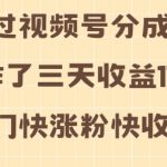 视频号收益攻略：3天操作狂揽1740元，揭秘快速涨粉高收益热门视频制作秘诀！