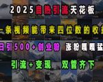 2025年自热引流巅峰秘籍：一条视频轻松赚取四位数字收益，高效引流+快速变现，每日狂吸500+创业粉丝，涨粉速度惊人！