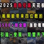 2025年自热引流巅峰秘籍：一条视频轻松赚取四位数字收益，高效引流+快速变现，每日狂吸500+创业粉丝，涨粉速度惊人！