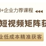 AI短视频矩阵营销实战课程，轻松助企业实现零成本高效获客！
