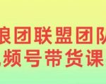 2024年狼团联盟揭秘：0基础小白如何快速掌握视频号带货，月入过万不是梦！