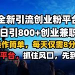 揭秘高效引流秘籍：单日狂揽800+创业粉，轻松兼职，仅需8分钟，全新平台助你创业无忧！