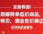 揭秘：独家赚钱新途径！用嘟赞抢购超值商品，闲鱼转手翻倍赚，网购达人必看的双赢攻略！