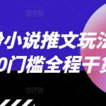 12月小说推广秘籍大全，零基础快速上手，全程硬核干货分享！
