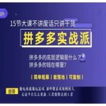 电商达人朋哥亲授：拼多多实战秘籍！15节高效精品课，拒绝理论只传干货，轻松上手快速盈利！复制成功，从这里开始！