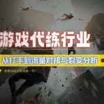 游戏代练揭秘：从顶级打手到流量变现与裂变增长策略深度解析