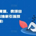 网创巅峰赛道揭秘：月入6位数不是梦，独家引流技术助你翻倍收益（26节实战课程）