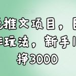 新手必看：10天轻松学会小说推文项目，图文创作技巧，快速赚取3000元！