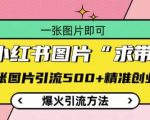 小红书独家揭秘：一张图片如何狂揽500+精准创业粉，爆火引流技巧大公开！