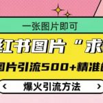 小红书独家揭秘：一张图片如何狂揽500+精准创业粉，爆火引流技巧大公开！