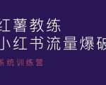 红薯教练亲授：小红书内容运营终极课程，掌握运营秘诀，成为小红书运营高手！