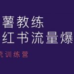 红薯教练亲授：小红书内容运营终极课程，掌握运营秘诀，成为小红书运营高手！