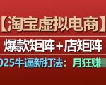 2025淘宝虚拟电商揭秘：独家爆款矩阵+店铺矩阵策略，轻松月入过万不是梦！