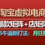 2025淘宝虚拟电商揭秘：独家爆款矩阵+店铺矩阵策略，轻松月入过万不是梦！