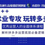 拼多多运营高手秘籍：全面体系课程，揭秘电商爆款打造必备逻辑，轻松玩转多多！