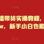 快手带货实操秘籍，月入10万不是梦，新手速成攻略，轻松开启赚钱之旅！